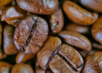 The Doubleshot Deception: An Investigation Into How Much Caffeine Is Really in Your Starbucks Espresso