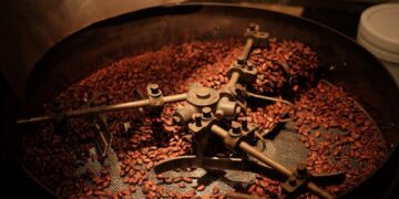 Beyond the Grind: How to Buy Coffee Beans Like You Curate a Playlist