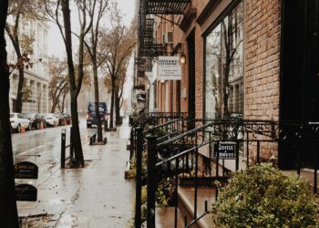 Beyond “The Best”: A Greenwich Village Coffee Lover’s Guide to Finding the Perfect Cup for Any Mission